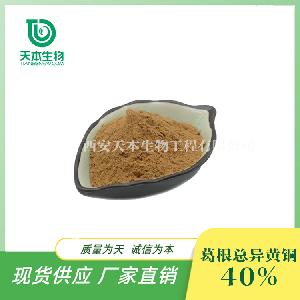 厂家现货 品质 葛根总异黄铜40%素25% 葛根粉 葛根提取物