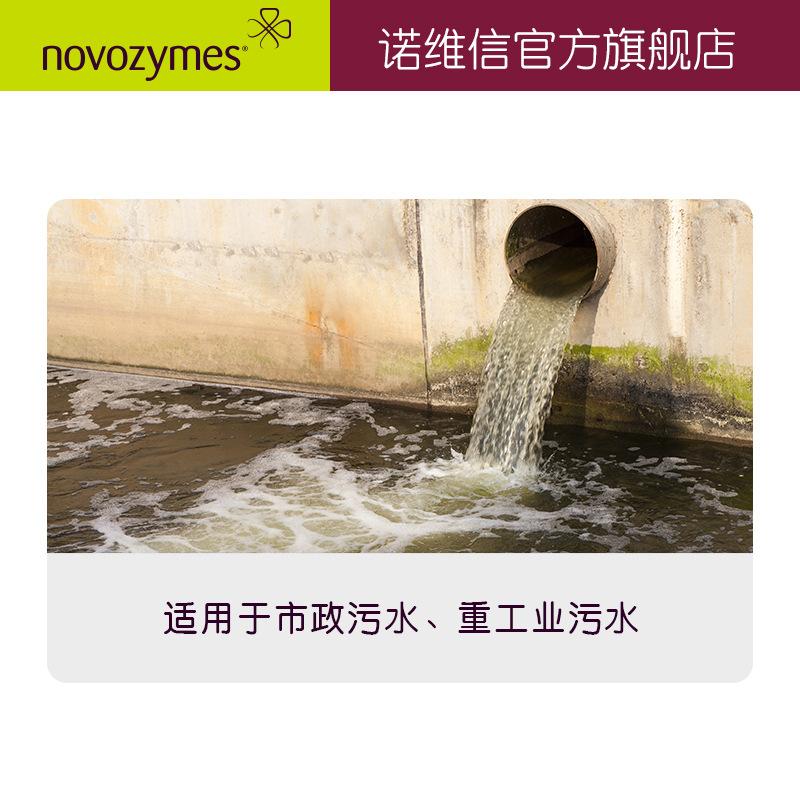 諾維信 生物增效劑 硝化細(xì)菌5805 污水處理 4.5kg 高效氨氮去除劑