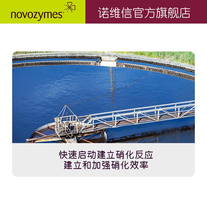 諾維信 生物增效劑 硝化細(xì)菌5805 污水處理 4.5kg 高效氨氮去除劑