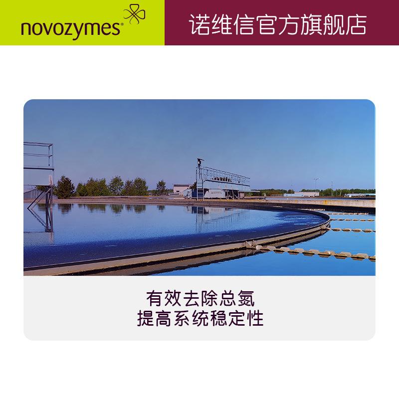 诺维信 生物增效剂反硝化菌工业污水处理 10kg 总氮高效去除剂