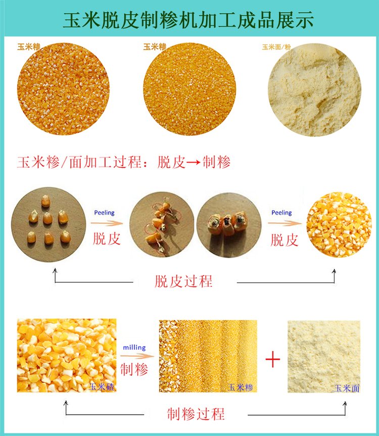 多功能型玉米脫皮制糝機玉米加工苞米碴子機打玉米糝機