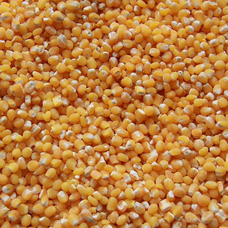 玉米种子脱皮机 药用玉米种子脱皮机 包衣玉米种子脱皮机