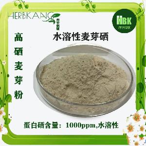 药食同源 可代加工制粒和压片 富硒麦芽粉  大麦芽硒粉