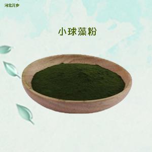 食品級小球藻粉報(bào)價(jià) 小球藻粉商家供應(yīng)