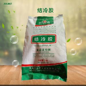 食品級結(jié)冷膠報價 結(jié)冷膠商家供應(yīng)