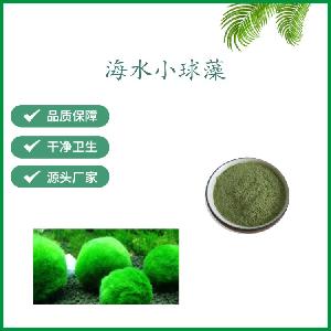 海水小球藻粉 (拟微绿球藻）EPA 水产养殖饲料