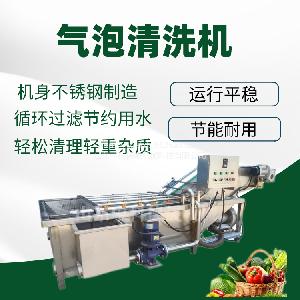 果蔬气泡清洗机 红枣气泡清洗设备 中科德晟zkds 支持定制