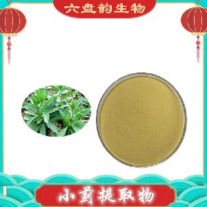 六盘韵供应 小蓟提取物 水溶性好 支持拿样  比例可定制