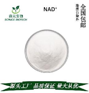 烟酰胺腺嘌呤二核苷酸 NAD 98% 量大从优