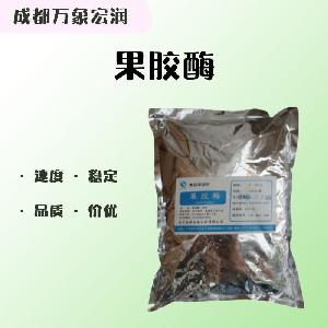 （食品級果膠酶）果膠酶 果膠酶