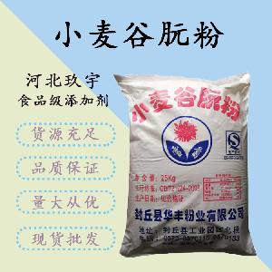 小麦谷朊粉报价 食品级小麦谷朊粉