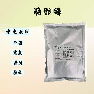 （脂肪酶）脂肪酶食品级