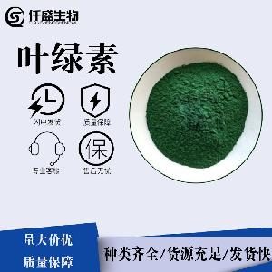 叶绿素格