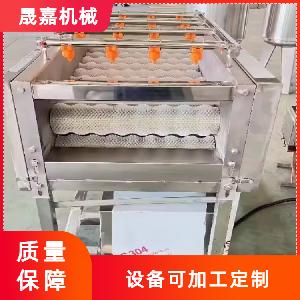 商用甘蔗专用清洗机 粽叶清洗机全自动运行