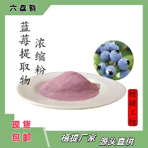 蓝莓速溶粉80-120目 类白色粉末 粉质细腻  库存充足当天发货