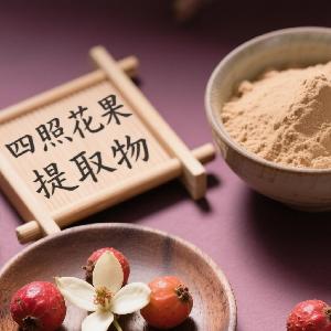 优铂汇供应 四照花果提取物 秦岭山好药材