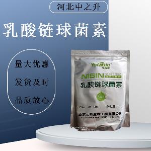 现货乳酸链球菌素 食品级 肉制品乳制品防腐剂