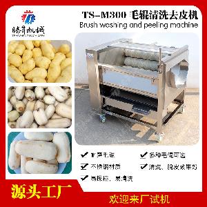 毛刷清洗机土豆清洗机TS-M300