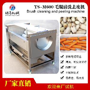 TS-M600型瓜果清洗機 中型土豆清洗機 紅薯清洗機廠家