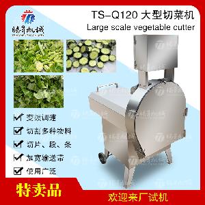 大型果蔬切割厨房设备木薯红薯切片机菜叶切段机TS-Q120