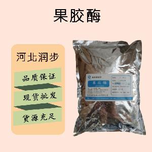 食品添加劑果膠酶現(xiàn)貨供應(yīng)