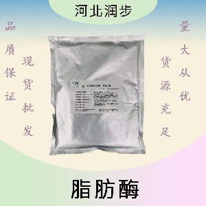脂肪酶报价 食品级脂肪酶