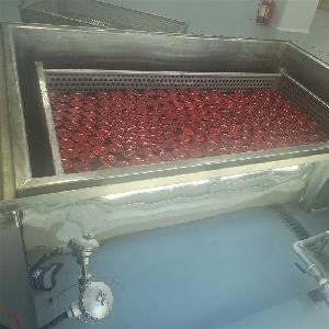 小型全自动燕窝炖煮机器鲜炖机