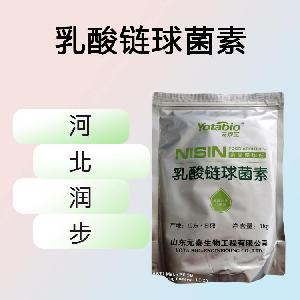 乳酸鏈球菌素食品原料 乳酸鏈球菌素食品添加劑