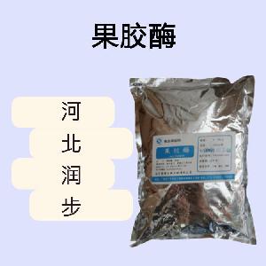 果胶酶食品原料 果胶酶食品添加剂