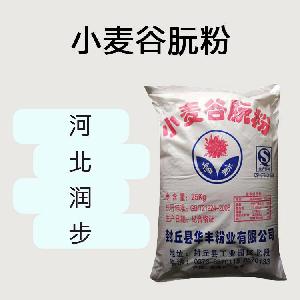 小麥谷朊粉食品原料 小麥谷朊粉食品添加劑