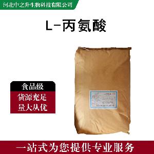 L-丙氨酸 食品级营养强化剂 氨基酸 L-丙氨酸 量大从优