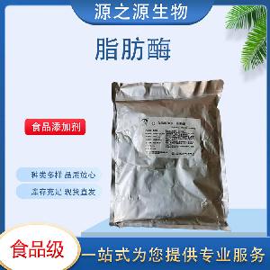 现货供应脂肪酶 食品级酶制剂 1Kg起订 量大从优