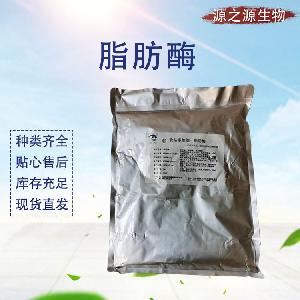 食品级脂肪酶 食用酶制剂 粉末 食品添加剂