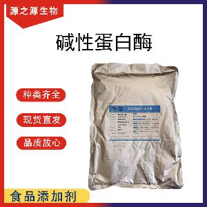 碱性蛋白酶 现货供应批发 食品级酶制剂 碱性蛋白酶