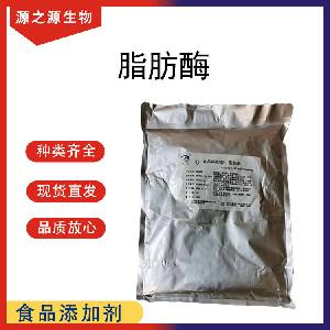 脂肪酶 现货供应批发 食品级酶制剂 脂肪酶
