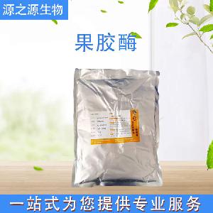 供应果胶酶 食品酶制剂 果胶酶 食品级