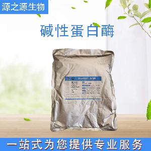 供应碱性蛋白酶 食品酶制剂 碱性蛋白酶 食品级
