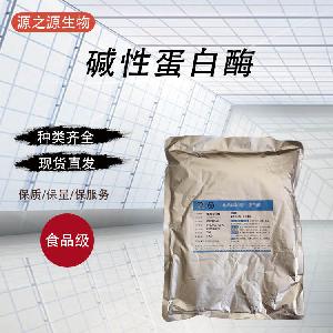 供应食品级酶制剂碱性蛋白酶量大从优1千克起订