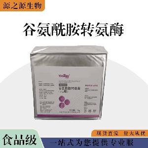 现货批发食用谷氨酰胺转氨酶 食品级酶制剂 谷氨酰胺转氨酶