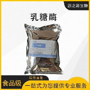 乳糖酶 食品级 乳糖酶粉末 食品酶制剂 大量现货