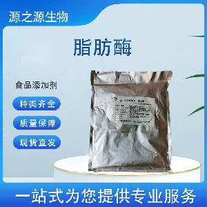 现货批发脂肪酶 食品级酶制剂一公斤起订