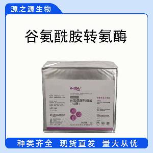 现货供应谷氨酰胺转氨酶 食品级酶制剂 谷氨酰胺转氨酶