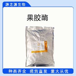 现货供应果胶酶 食品级酶制剂 果胶酶