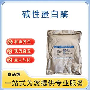碱性蛋白酶 批发供应 食品级酶制剂 量大从优