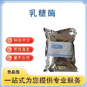 乳糖酶 批发供应 食品级酶制剂 量大从优