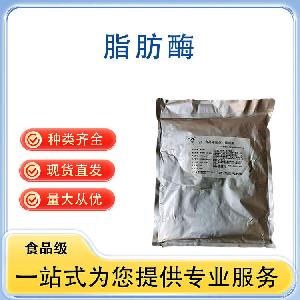 脂肪酶 批发供应 食品级酶制剂 量大从优
