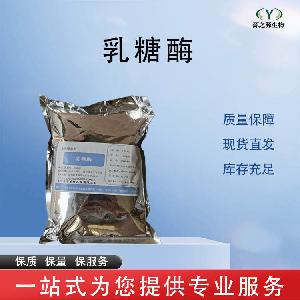 乳糖酶 批发零售 食品级酶制剂 量大从优