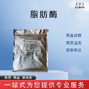 脂肪酶 批发零售 食品级酶制剂 量大从优