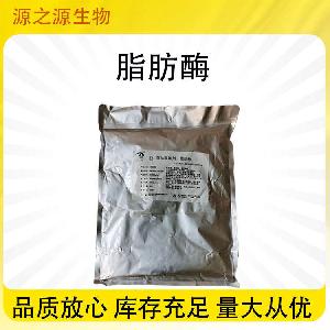 批发供应食品级脂肪酶 各种酶制剂