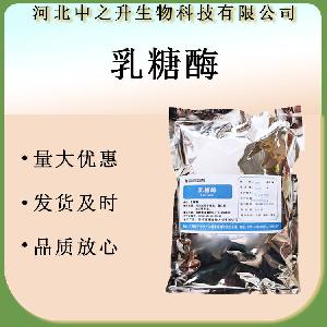 乳糖酶 食品级高活力酶制剂乳糖酶 β-半乳糖苷酶